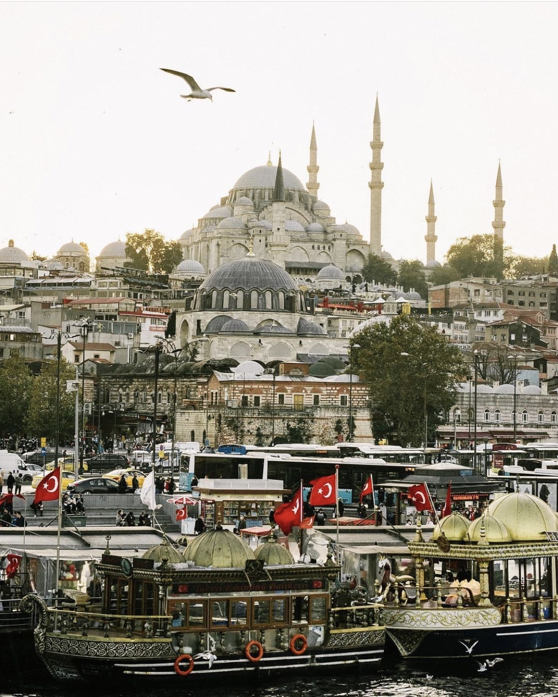 12 Things to Know Before Visiting Istanbul
