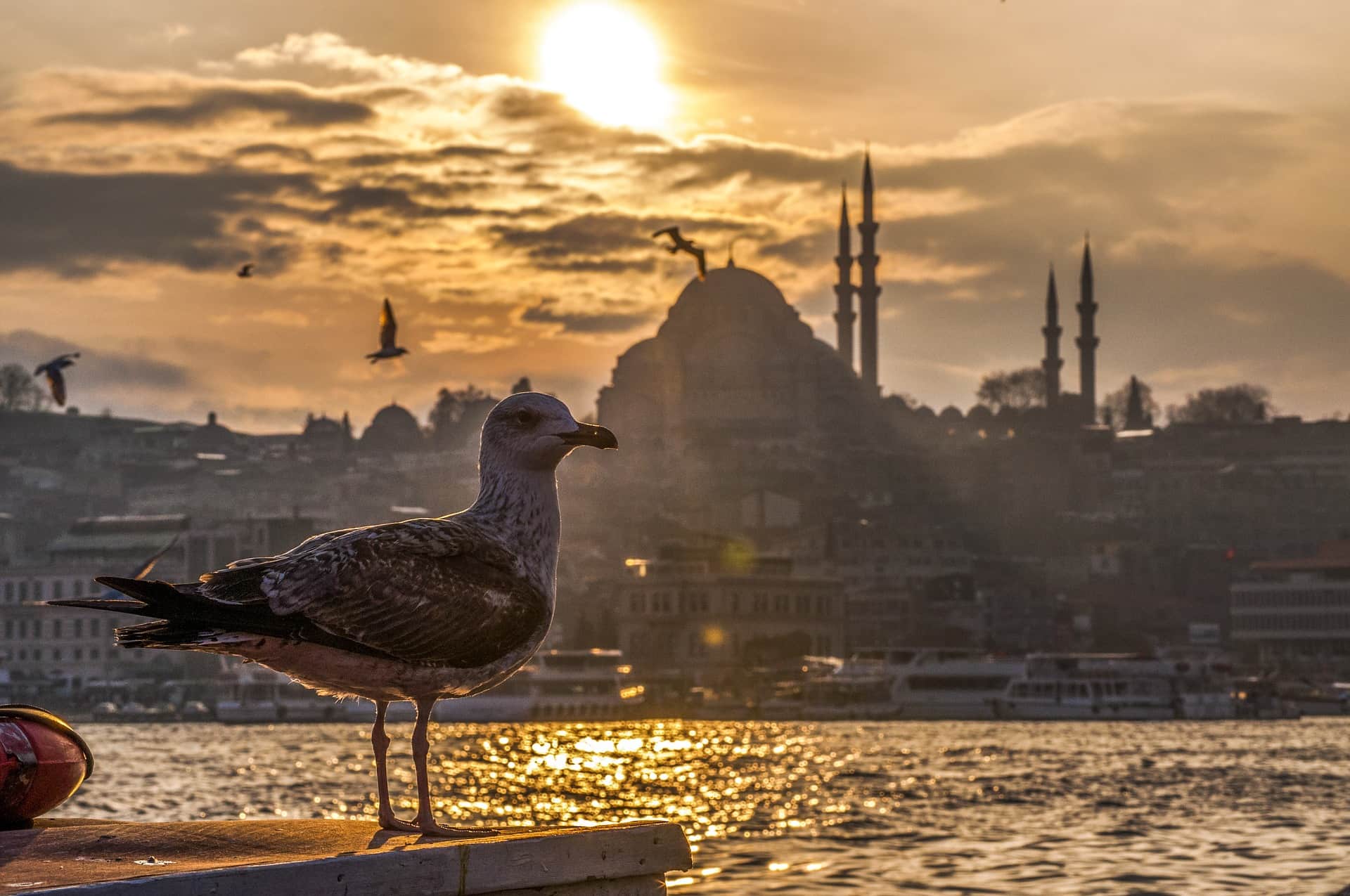 Where to Stay in Istanbul as a Tourist? (For Every Budget)